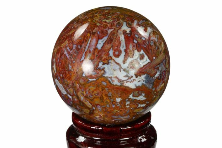 Colorful, Polished Petrified Palm Root Sphere - Indonesia #150137